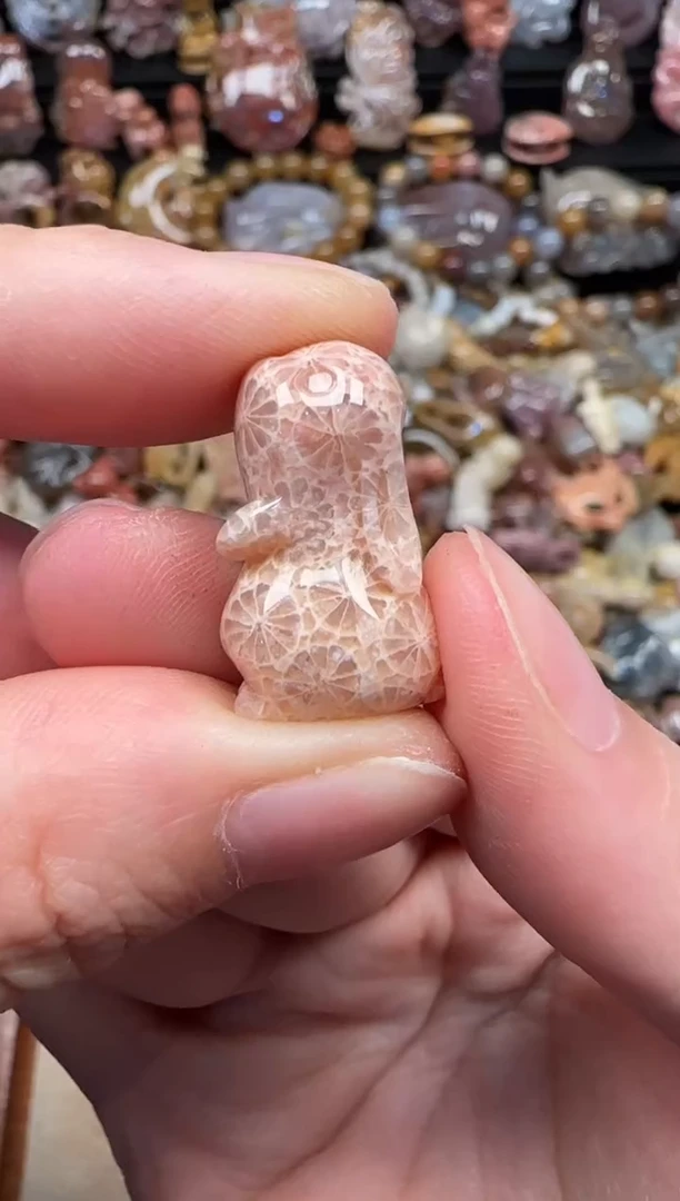 颈饰未镶嵌硅化珊瑚（珊瑚玉）139