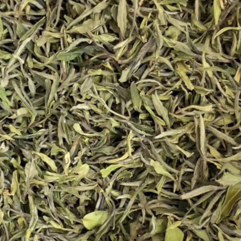 临时链接 2025年古树贡眉王散茶
