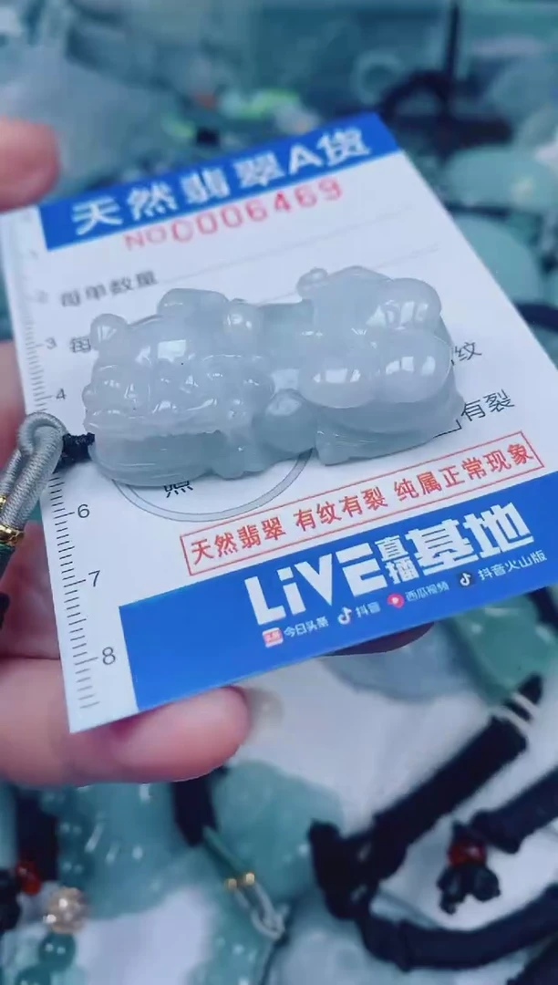颈饰未镶嵌翡翠00006469