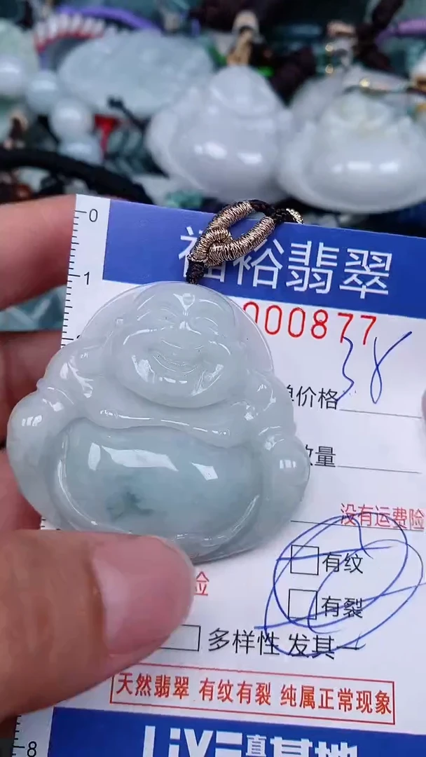 翡翠未镶嵌颈饰...0000877