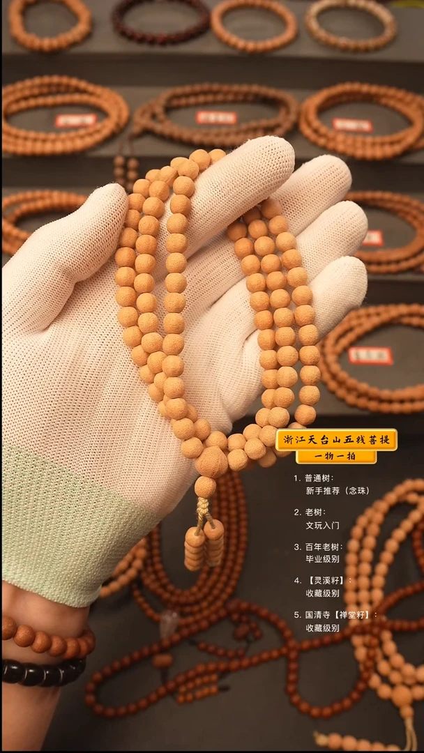 吊坠五线菩提伦*儿y脖挂