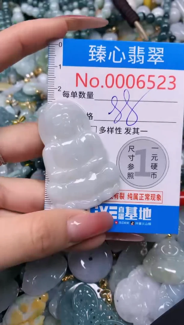 【闪购商品】翡翠颈饰未镶嵌含绳0006523