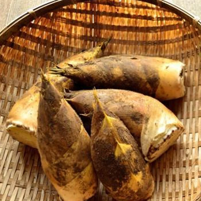 【散】春笋 约600g±50g/份