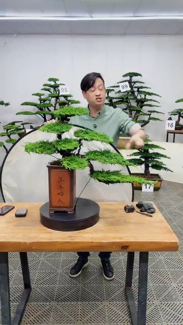无花朵造型盆景一物一拍