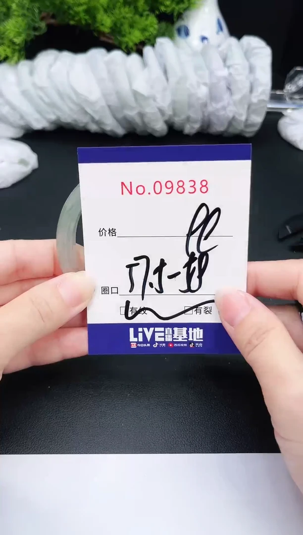 未镶嵌手镯翡翠9838