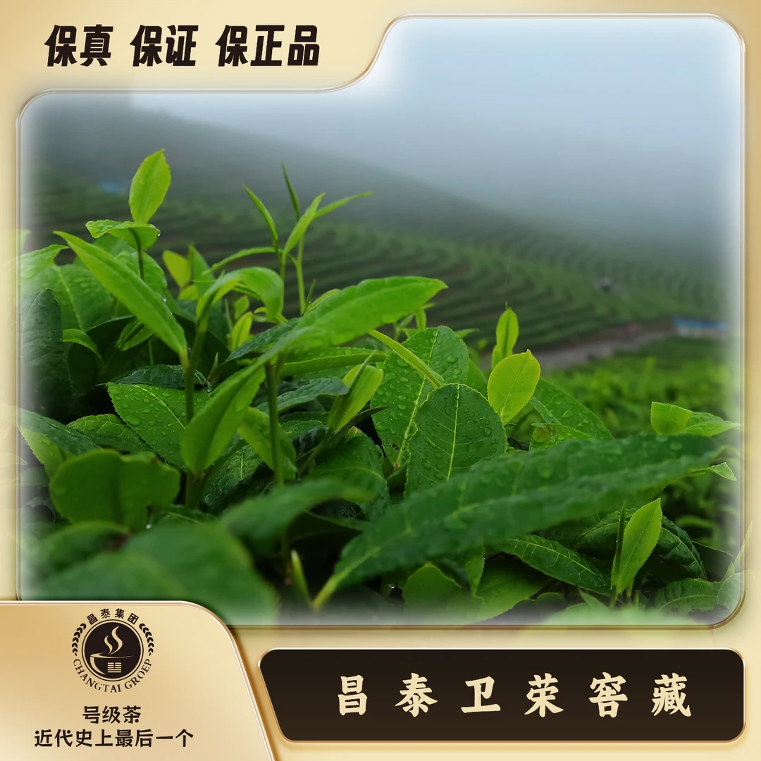 【昌泰卫荣】阿泽  CH 困鹿山 野生 JP通用链接 普洱茶