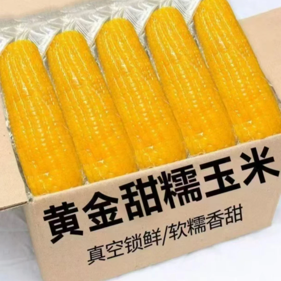 【智途专属】试吃两根香甜黄糯玉米整箱7斤真空包装