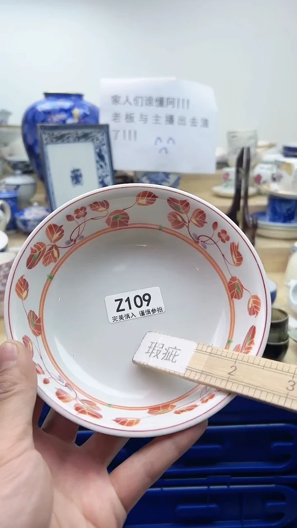 【闪购商品】瓷片109