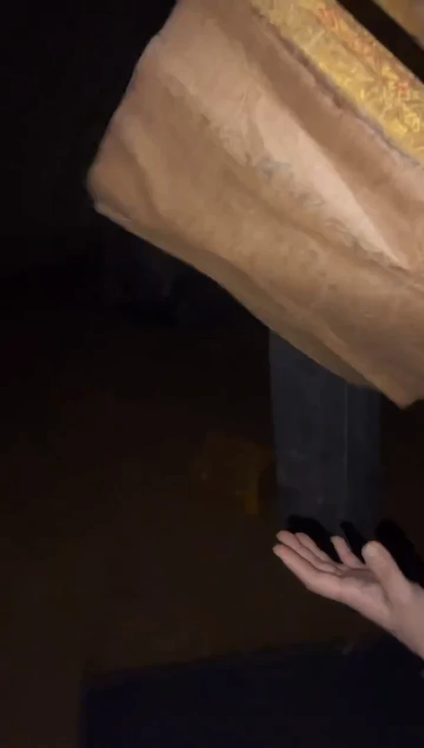 香榧木一一一优选一一一