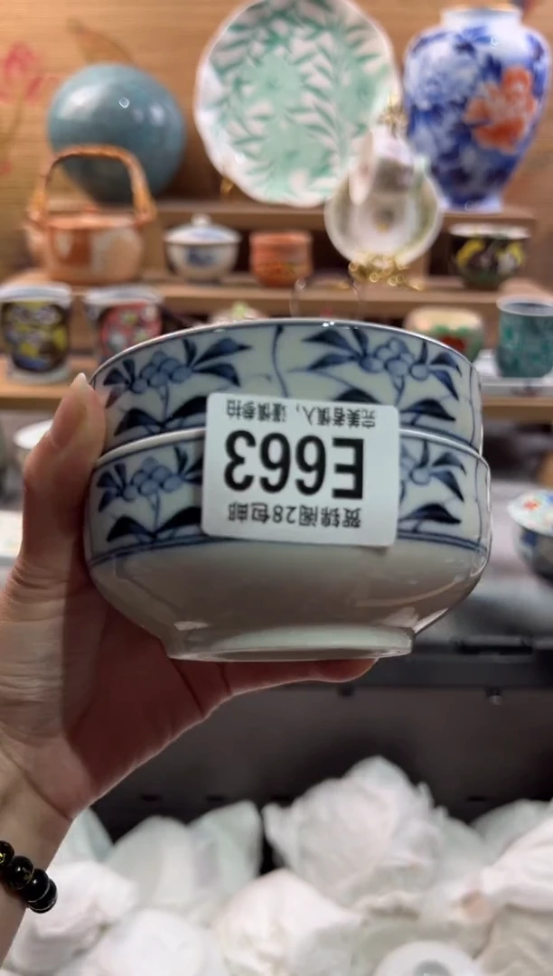 瓷片一*i       E663