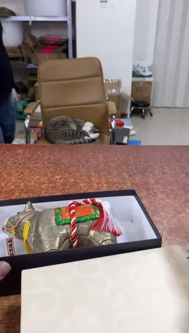 瓷片407小林轩欢迎您