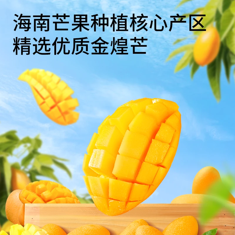 那点田_鲜果系列—海南金煌芒正宗海南金煌芒香甜浓郁多汁TT