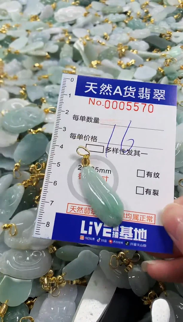 颈饰未镶嵌翡翠天然a货翡翠