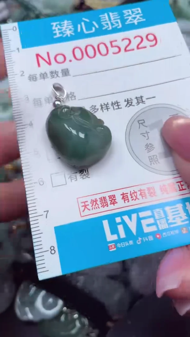 颈饰未镶嵌翡翠5229