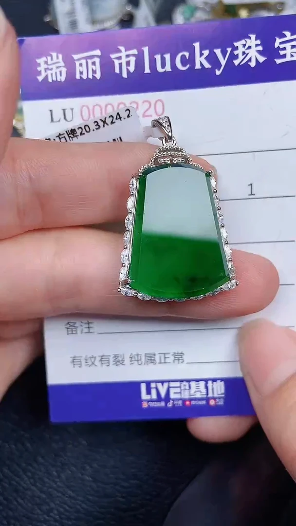 颈饰未镶嵌翡翠0220