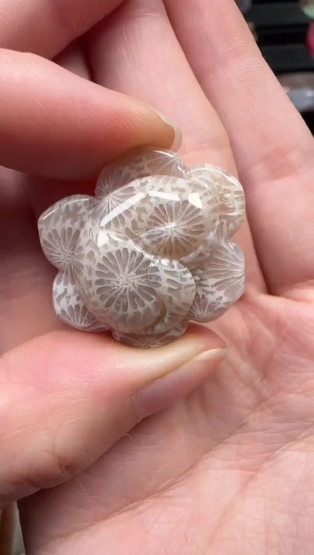 颈饰未镶嵌硅化珊瑚（珊瑚玉）596