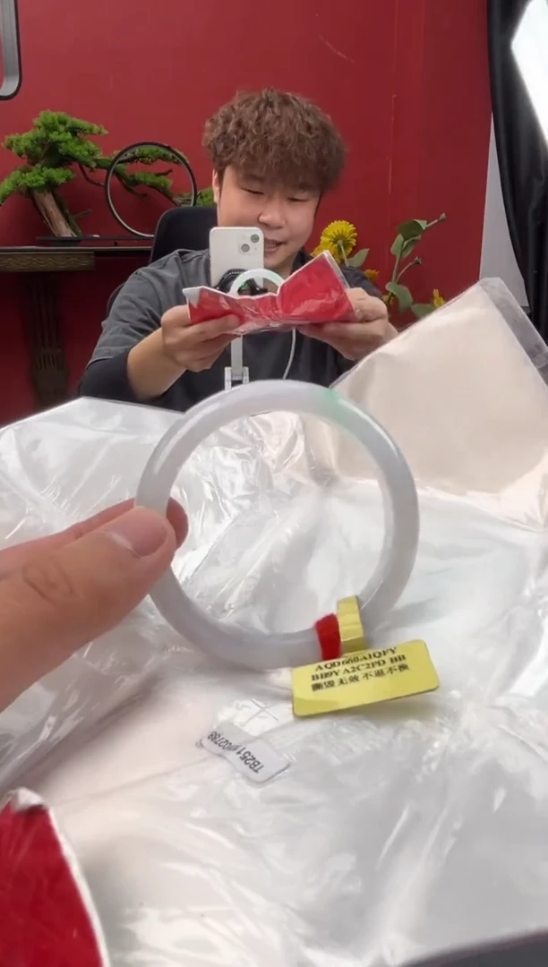 未镶嵌手镯翡翠11