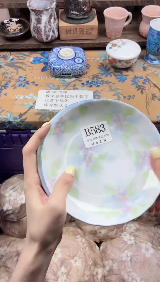 瓷片X****.                B583