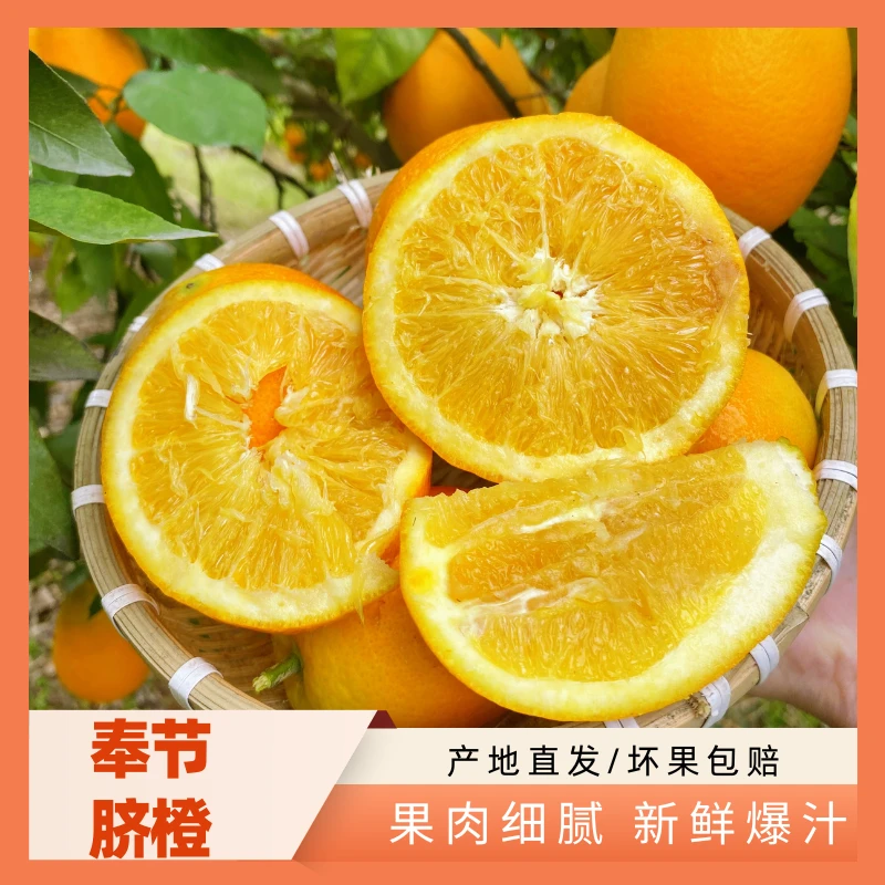 （普快20斤装）奉节脐橙（长虹福本混合）新鲜采摘应季时令水果