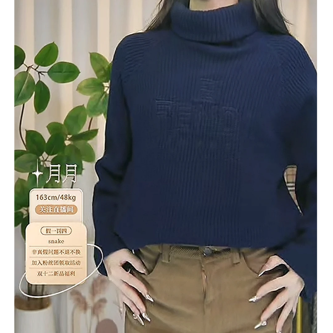 95新 FENDI/芬迪 针织高领刺绣毛衣/Fy1915