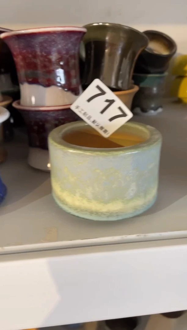 【闪购商品】摆件717知木小芳花盆