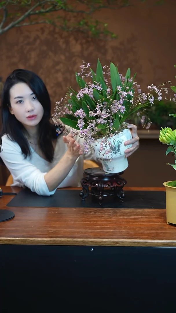 全部花朵粉梦香盆景盆景盆景