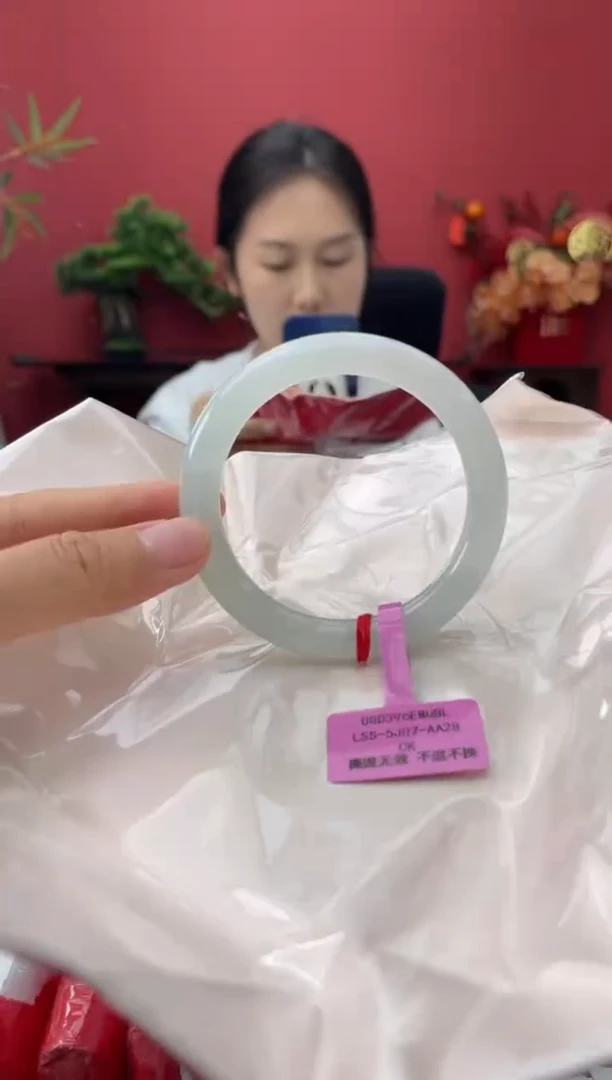 未镶嵌手镯翡翠2