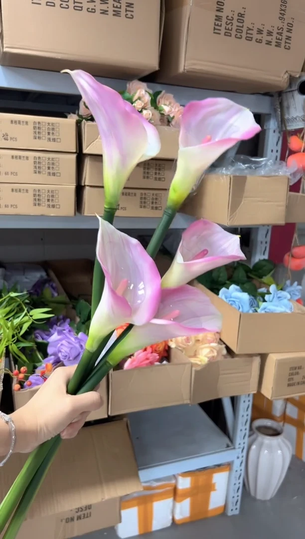 5枝粉色马蹄莲组