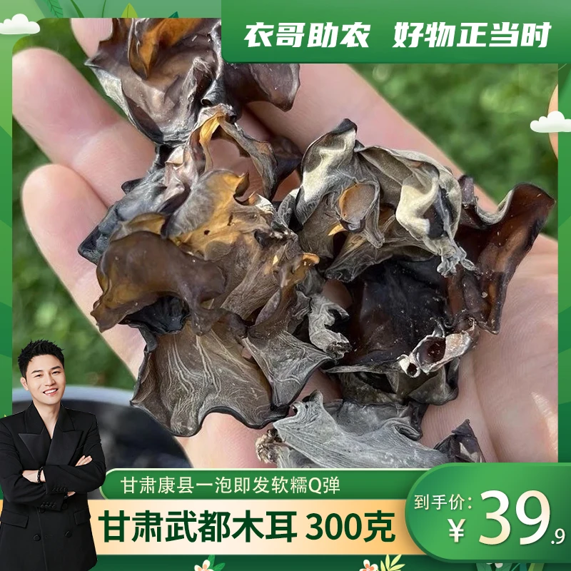 康县青冈树木耳脆嫩爽口天然干货发泡凉拌菜火锅食材