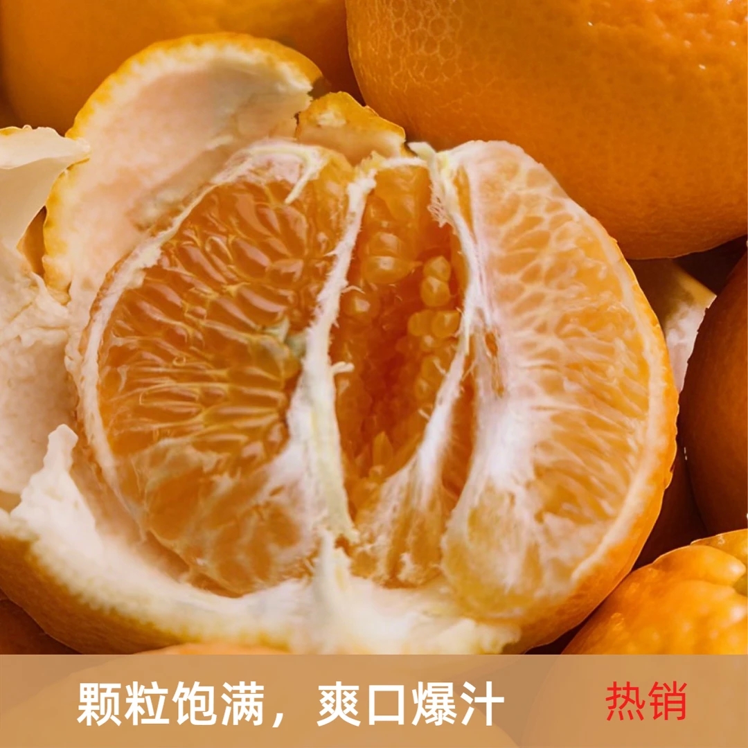 四川农家耙耙柑 颗粒饱满爽口爆汁 口感纯正  新鲜采摘送礼佳品