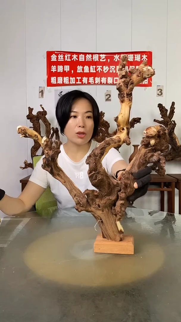 香榧木老*金丝红木   羊蹄甲