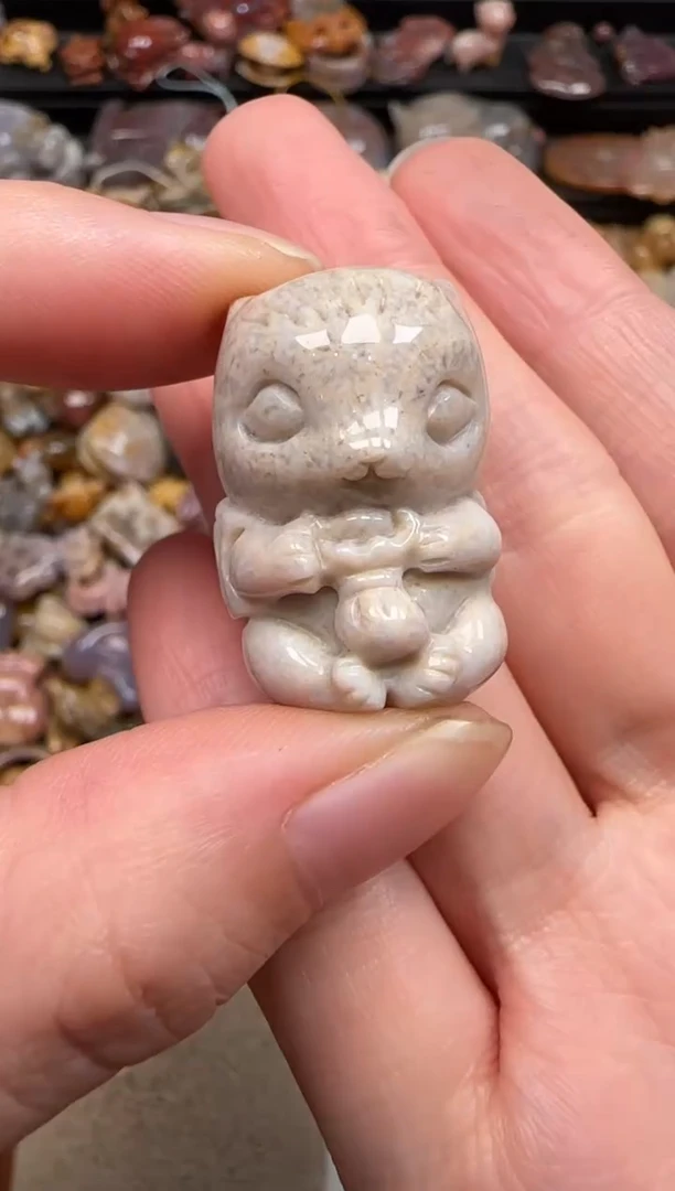 硅化珊瑚（珊瑚玉）未镶嵌颈饰247