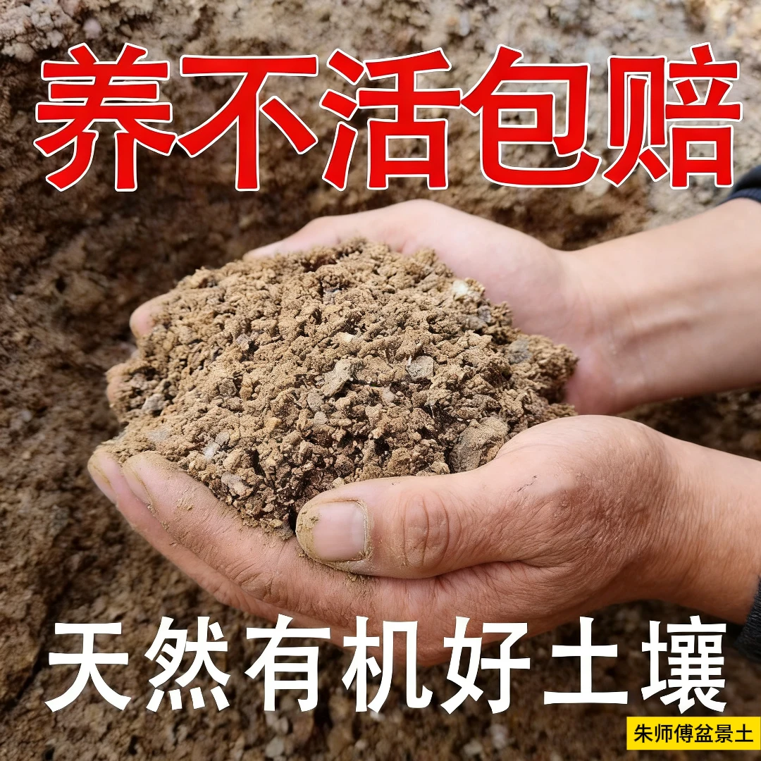 风化砂园艺扦插专用透水透气发根营养土适用多肉黑松盆景绿植杂木