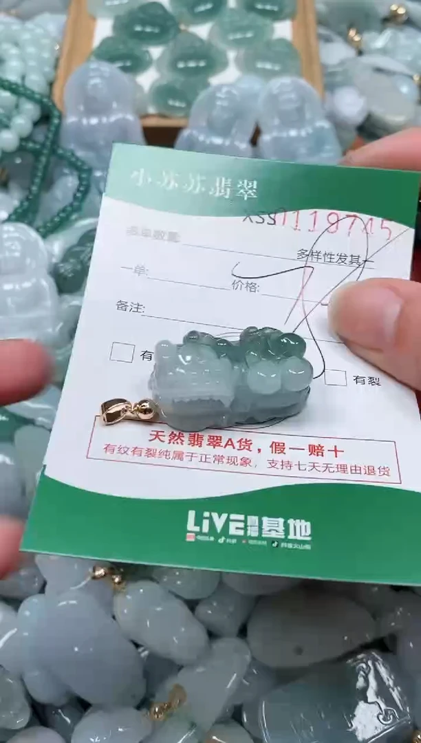 【闪购商品】翡翠颈饰未镶嵌闪购商品0119745