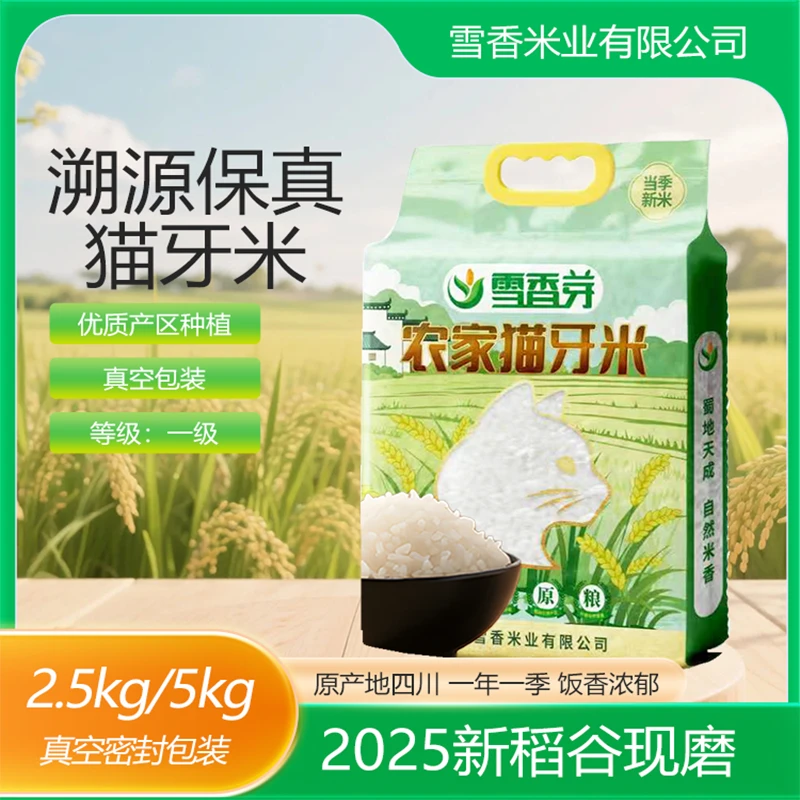 雪香芽农家25年新稻谷猫牙米真空包装