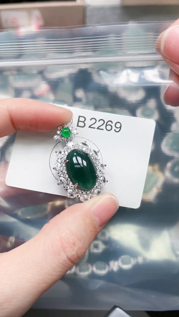 【闪购商品】翡翠颈饰未镶嵌赠皮绳2269