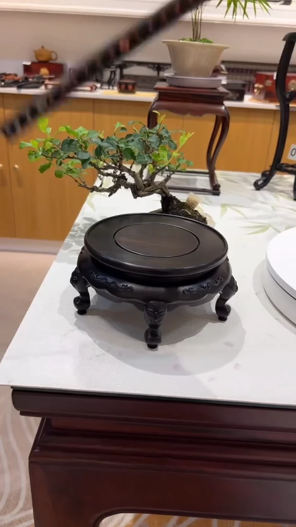 紫砂1紫砂紫砂紫砂紫砂紫砂2