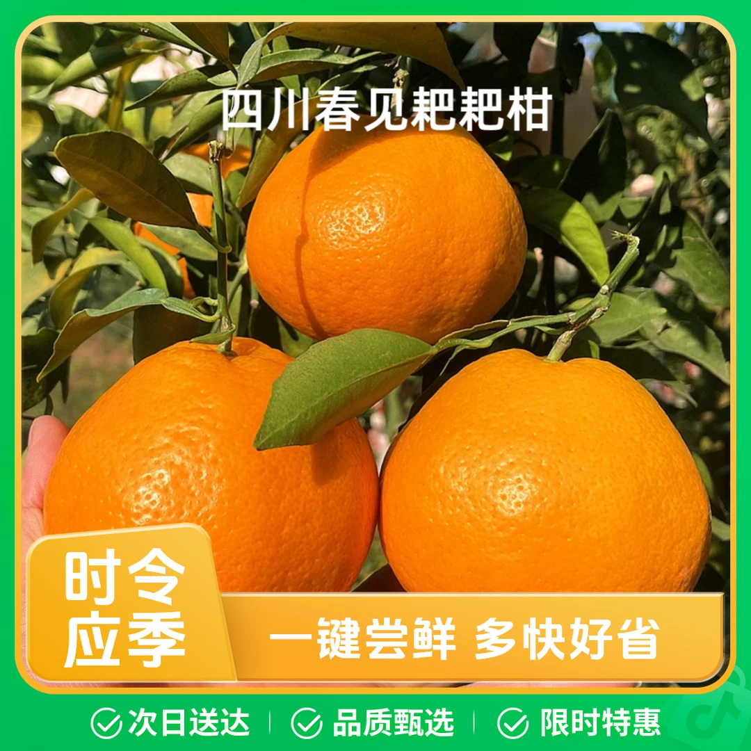 顺丰发货AA大果特大果正宗四川春见耙耙柑新鲜粑粑柑5斤/9斤装当季水果整箱耙耙柑四川省成都市
