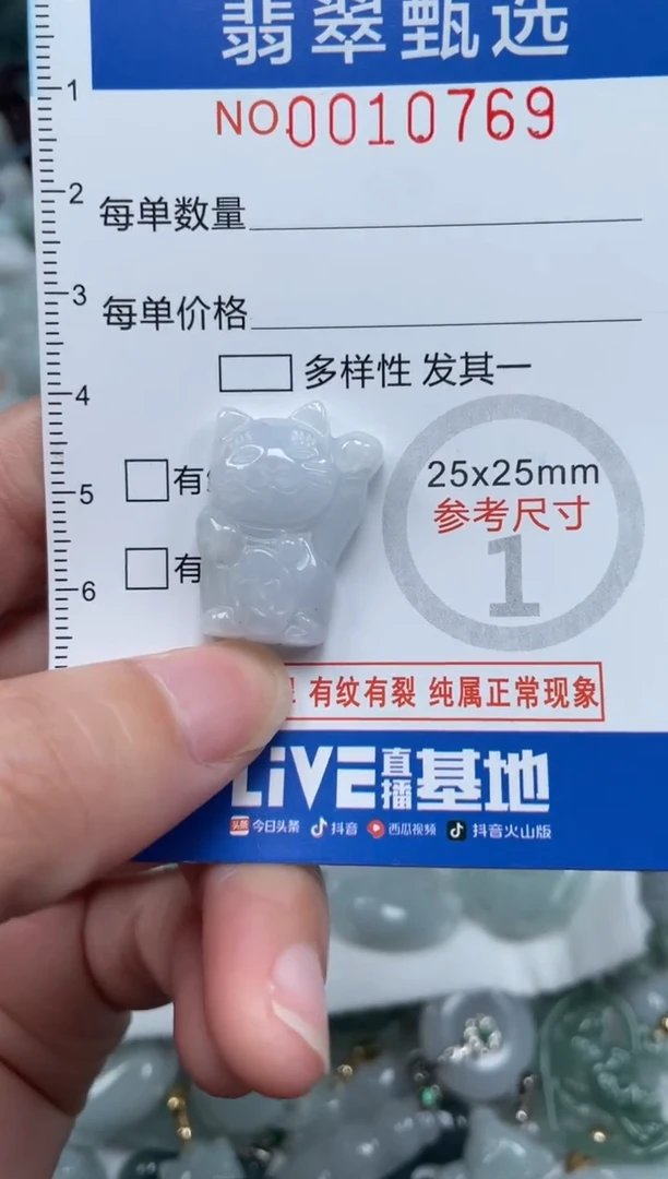 颈饰未镶嵌翡翠10769