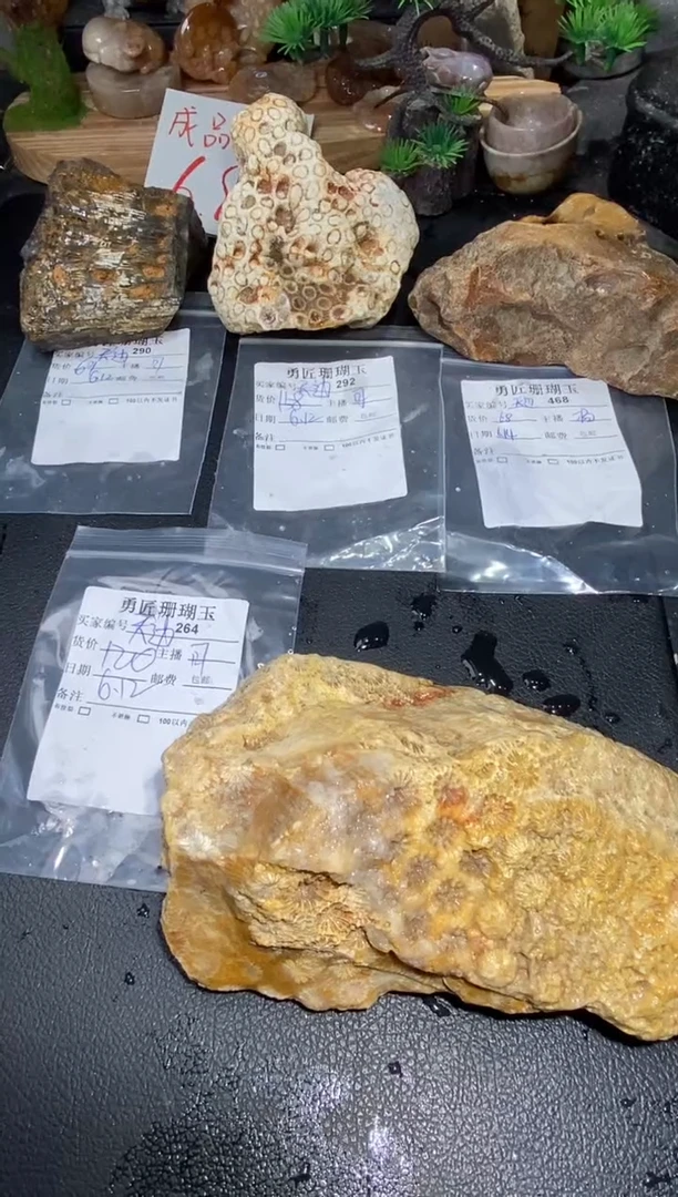 硅化玉珊瑚玉未镶嵌＆****云4个