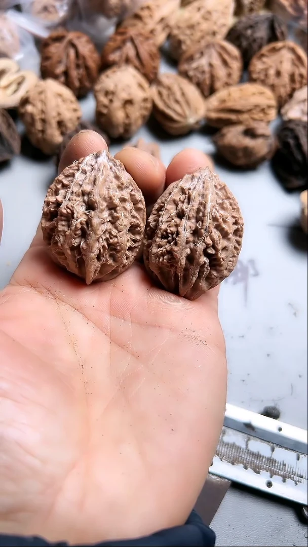 核桃东北野生大秋子10