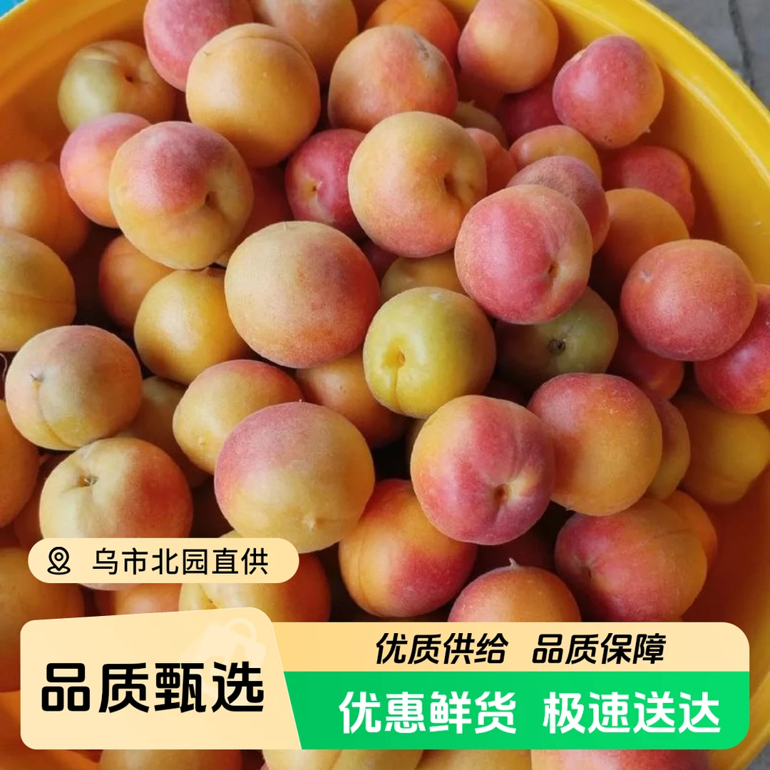 【富贵专属顺丰次日达】伊犁大果吊干杏1公斤净重包邮到家杏水果同城配送杏子同城送新疆维吾尔自治区