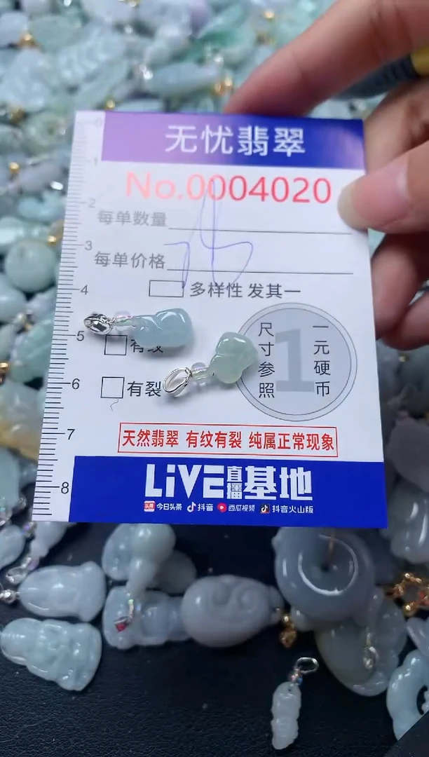 颈饰未镶嵌翡翠4020
