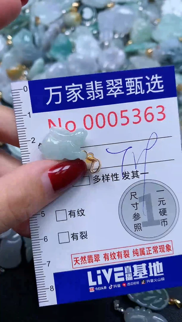 颈饰未镶嵌翡翠5363
