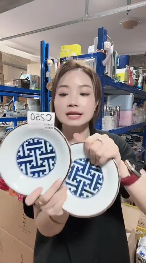 瓷片全新高端瓷器16cm盘两只 C250