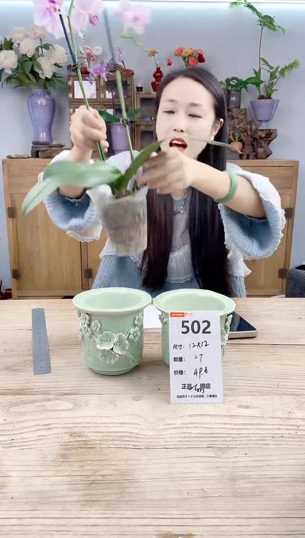 小玩子花盆直播号502