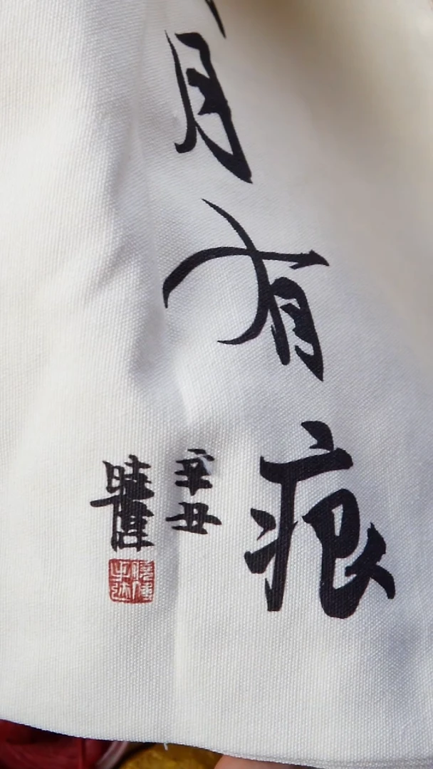 双维直播间帆布袋