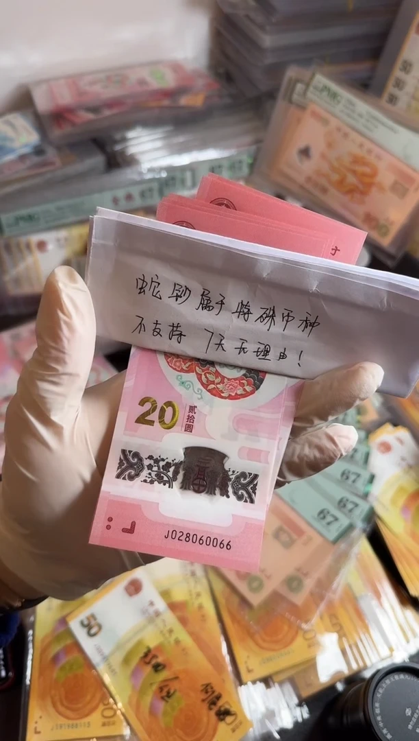 【闪购商品】纸028060066-蛇钞、。。。。