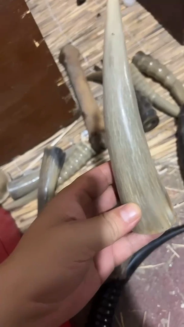 茶杯紫砂紫砂紫砂紫砂紫砂