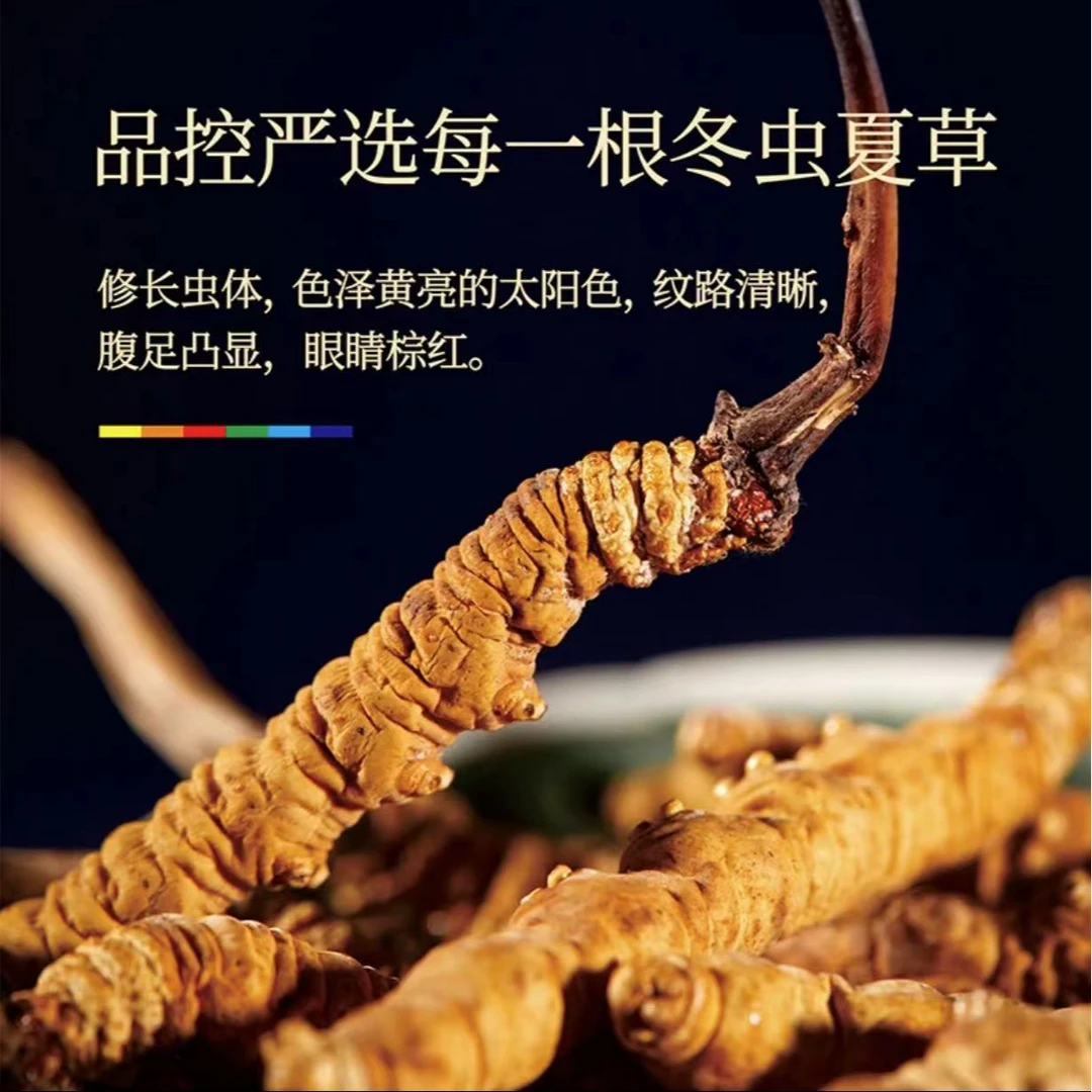 藏地九哥冬虫夏草15根甄选干草